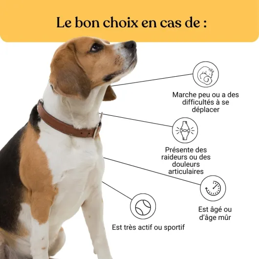 61X8dydAFGL._AC_SL1080_