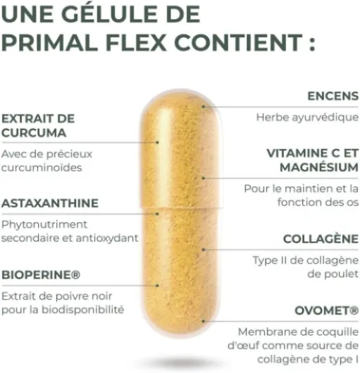 61qX8z7p-cL._AC_SL1000_