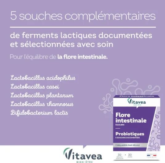 Vitavea - Probiotique Flore Intestinale, Equilibre du Microbiote, Digestion - Ferments Lactiques - Lactobacillus et Bifidobacterium - 30 gélules végétales - 1 mois - Fabriqué en France Violet 30 unité (Lot de 1)