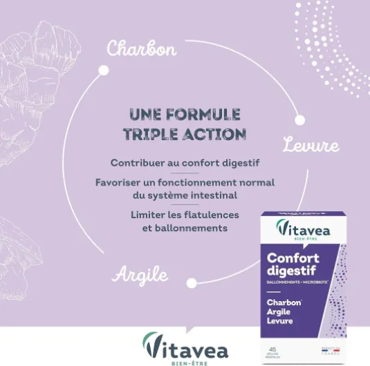 VITAVEA BIEN-ETRE Vitavea - Charbon Végétal Argile Levure - Complément alimentaire confort digestif : ballonements confort intestinal ventre gonflé - 45 gélules végétales - Fabriqué en France
