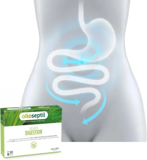 61inL3hWcdL._AC_SL1500_