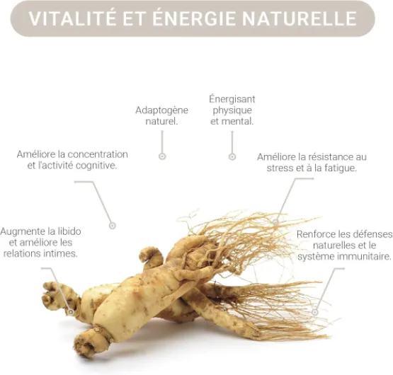 71 af8fJvDL._AC_SL1500_