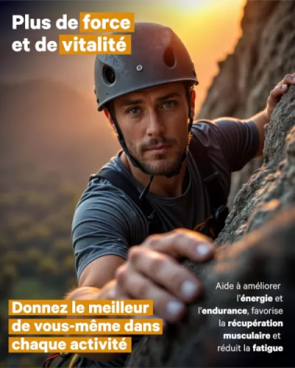 Ashwagandha KSM-66® 9000mg - 240 Gélules - Extra Fort 5% Withanolides - Anti Stress, Sommeil, Énergie - Longue Durée - Dosage Elevé: 600mg Extrait Concentré 15:1