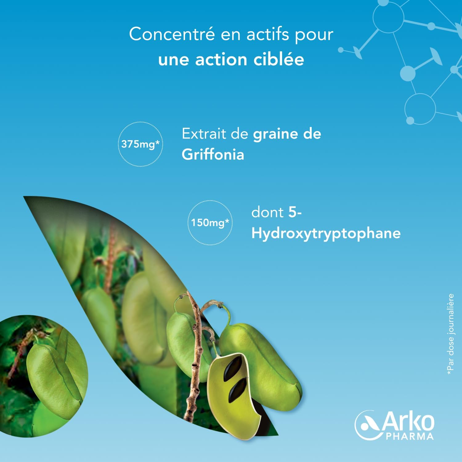 Arkogélules® Griffonia - Facilite la synthèse de sérotonine - Fonctionnement du système nerveux - Baisse de moral et périodes de stress - 40 gélules 1 unité (Lot de 1)