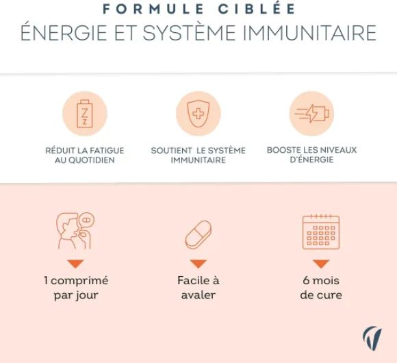 711q-pPrCVL._AC_SL1500_