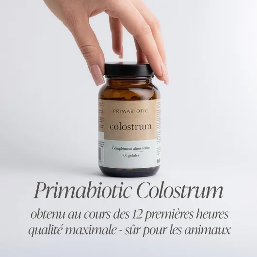 71cPFfU205L._AC_SL1500_