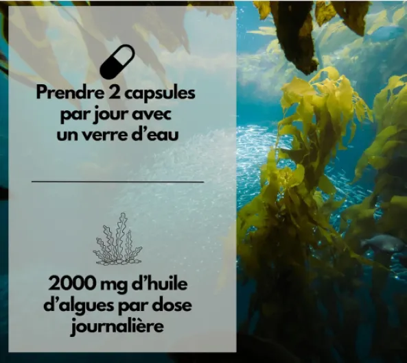 EXVital® Oméga 3 à base d'huile d'algues, végétalien, 120 gélules, 2000 mg, 600 mg de DHA et 300 mg d'EPA par jour, issu d'algues durables, hautement dosé et testé en laboratoire
