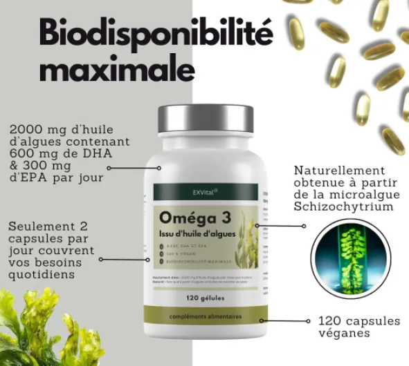 71SPvLD1FtL._AC_SL1500_