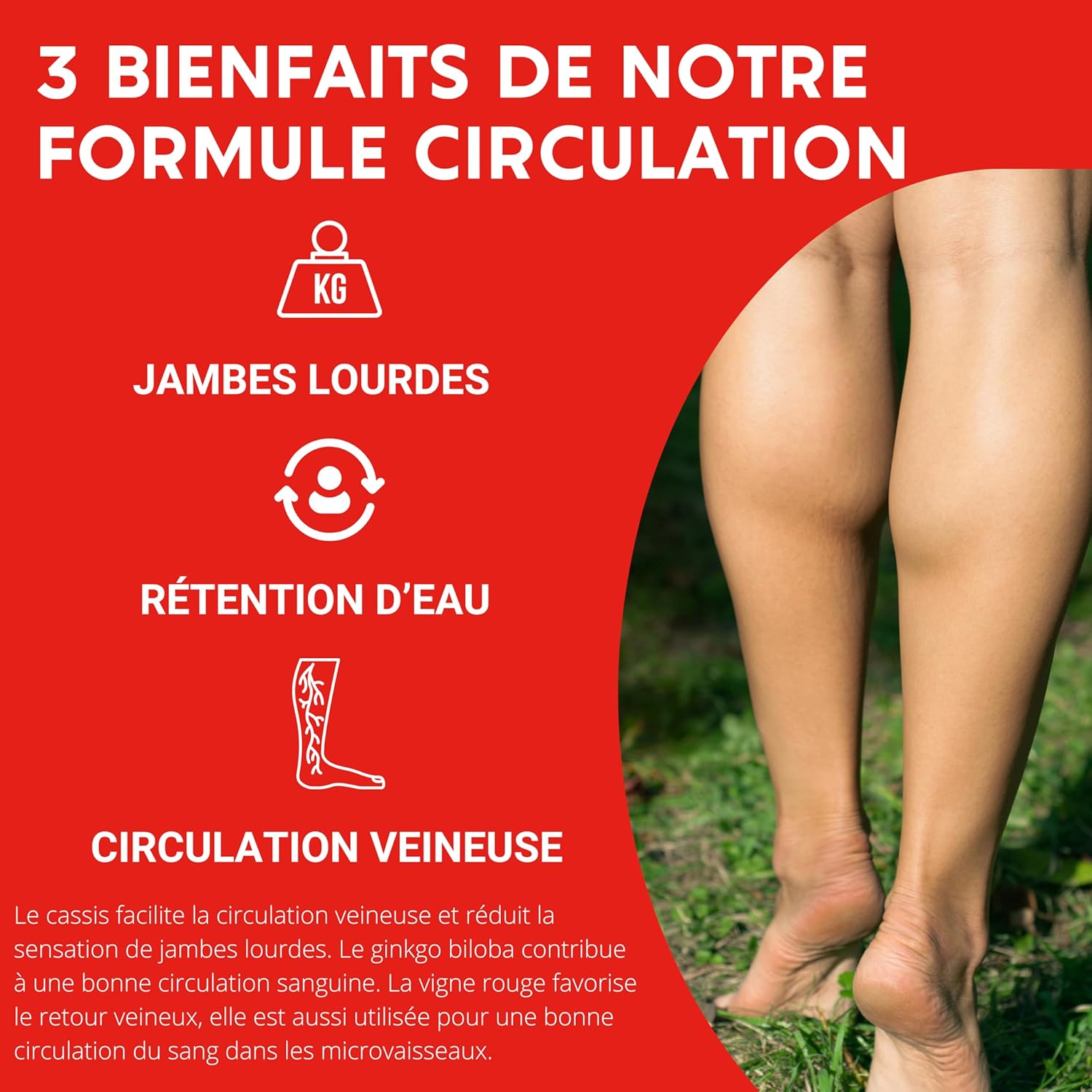 FORMULE CIRCULATION Sanguine, veineuse - Jambes lourdes, Rétention d'eau - Vigne Rouge (hautement dosé), Cassis, Gingko Biloba - 60 gélules - Complement alimentaire