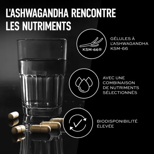 Ashwa +, ashwagandha hautement dosé, KSM 66® breveté, 120 gélules, avec magnésium, vitamine B6 et zinc - fabriqué en Allemagne