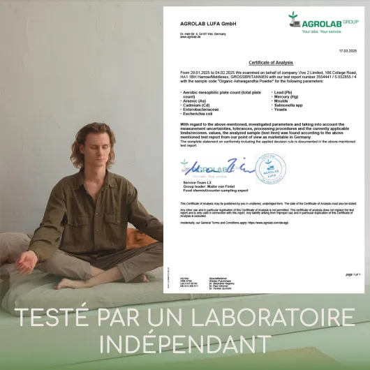 81UBPwRfwKL._AC_SL1500_