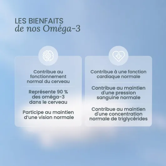 NUTRI & CO Omega 3 Huile de Poissons Sauvages EPAX®, Haute Concentration EPA DHA & Vitamine E - Issu de Pêche Durable & Huile de Poisson Pure, 120 capsules Anti Oxydation, Made in France 120 unité (Lot de 1)