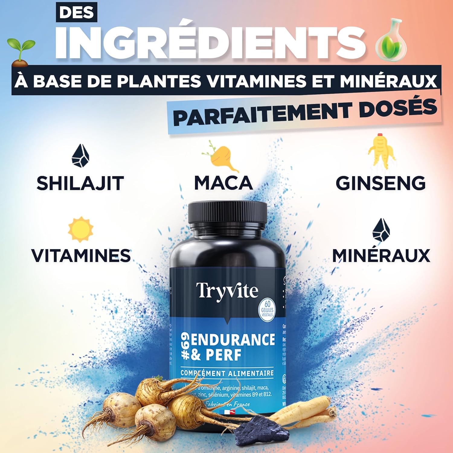 Formule Améliorée Testo Endurance & Vitalité Masculine - Avec Shilajit, Maca, Ginseng, L-Arginine & Zinc - TRYVITE ENDURANCE&PERF 2026 60 Gélules