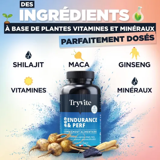 Formule Améliorée Testo Endurance & Vitalité Masculine - Avec Shilajit, Maca, Ginseng, L-Arginine & Zinc - TRYVITE ENDURANCE&PERF 2026 60 Gélules