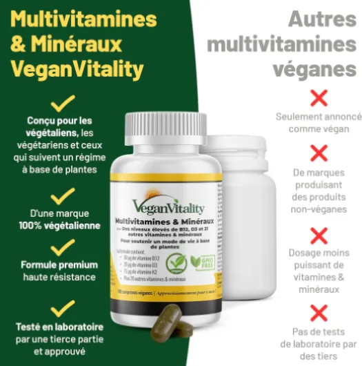 Pack Vegan Vitality Multivitamines + Oméga 3 Végétal – Multivitamines 6 Mois (180 Comprimés) et Oméga 3 DHA d’Algues 2 Mois (60 Capsules) – Compléments pour Vegans et Végétariens Multivitamines+Oméga 3