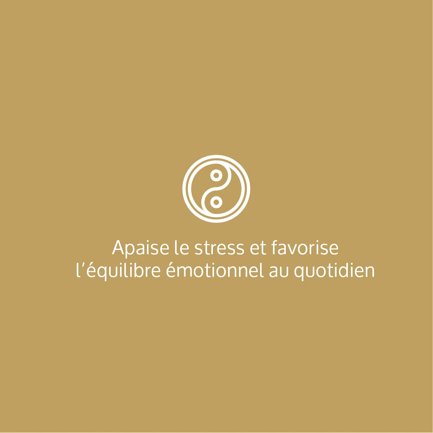Stress & Anxiété – Complément Alimentaire Relaxation - Magnésium Glycérophosphate + Pidolate, Vitamine B6 - Anti-Stress Naturel, Humeur & Détente - 90 Gélules Vegan
