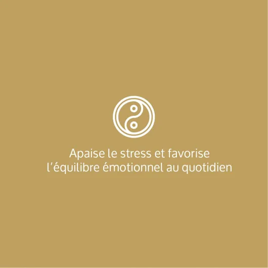 Stress & Anxiété – Complément Alimentaire Relaxation - Magnésium Glycérophosphate + Pidolate, Vitamine B6 - Anti-Stress Naturel, Humeur & Détente - 90 Gélules Vegan
