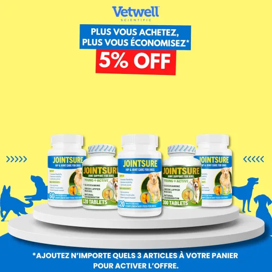 Senior – Comprimés Premium de Soin articulaire avancé pour Chiens - 300 comprimés avec glucosamine et Moule Verte pour la mobilité et la solidité des articulations