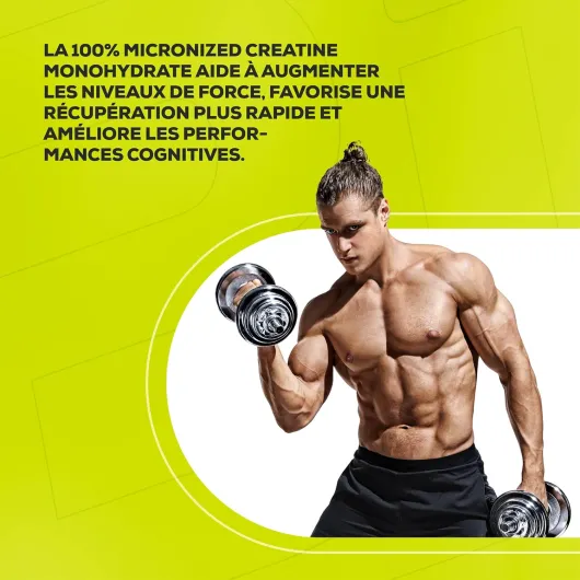 100% Creatine Monohydrate - Créatine de qualité pharmaceutique - Micronisée - Végétalienne - Sans gluten, 500 g, Non aromatisé Sans saveur 500 g (Lot de 1)