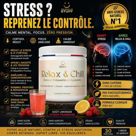 Relax & Chill Boisson Relaxation Anti-Stress/Ashwagandha KSM-66, L theanine, Magnesium Bisglycinate & Vitamine D/Baisse Cortisol & Stress, Améliore Détente et Qualité du Sommeil/Sans Cafeine ni Sucre