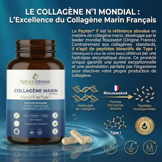 Collagene Marin - Hydrolysé - Peptan® F & Type I 2000DA - Acide Hyaluronique + Vitamine C & Zinc - Complément Alimentaire de Collagene pour Cheveux, Peau & Ongles - 120 Gélules - Cure 2 mois