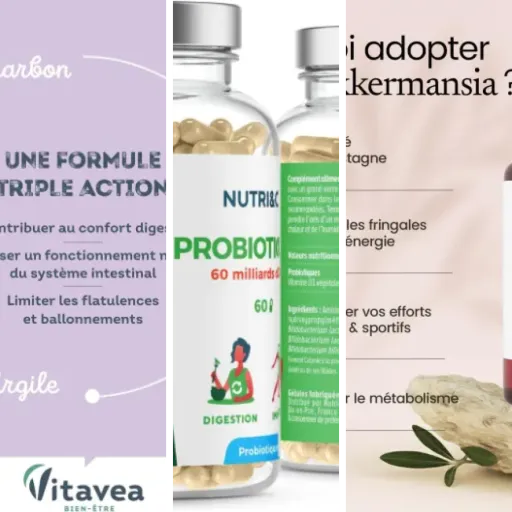 6 meilleurs compléments confort intestinal : notre comparatif (mai 2026)