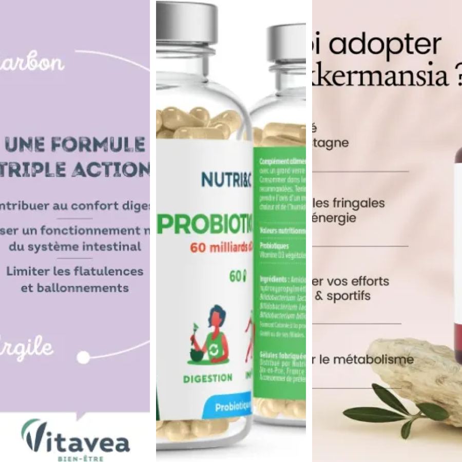 6 meilleurs compléments confort intestinal : notre comparatif (2026)