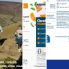 Top 6 des meilleurs compléments protection cartilages (mai 2026)