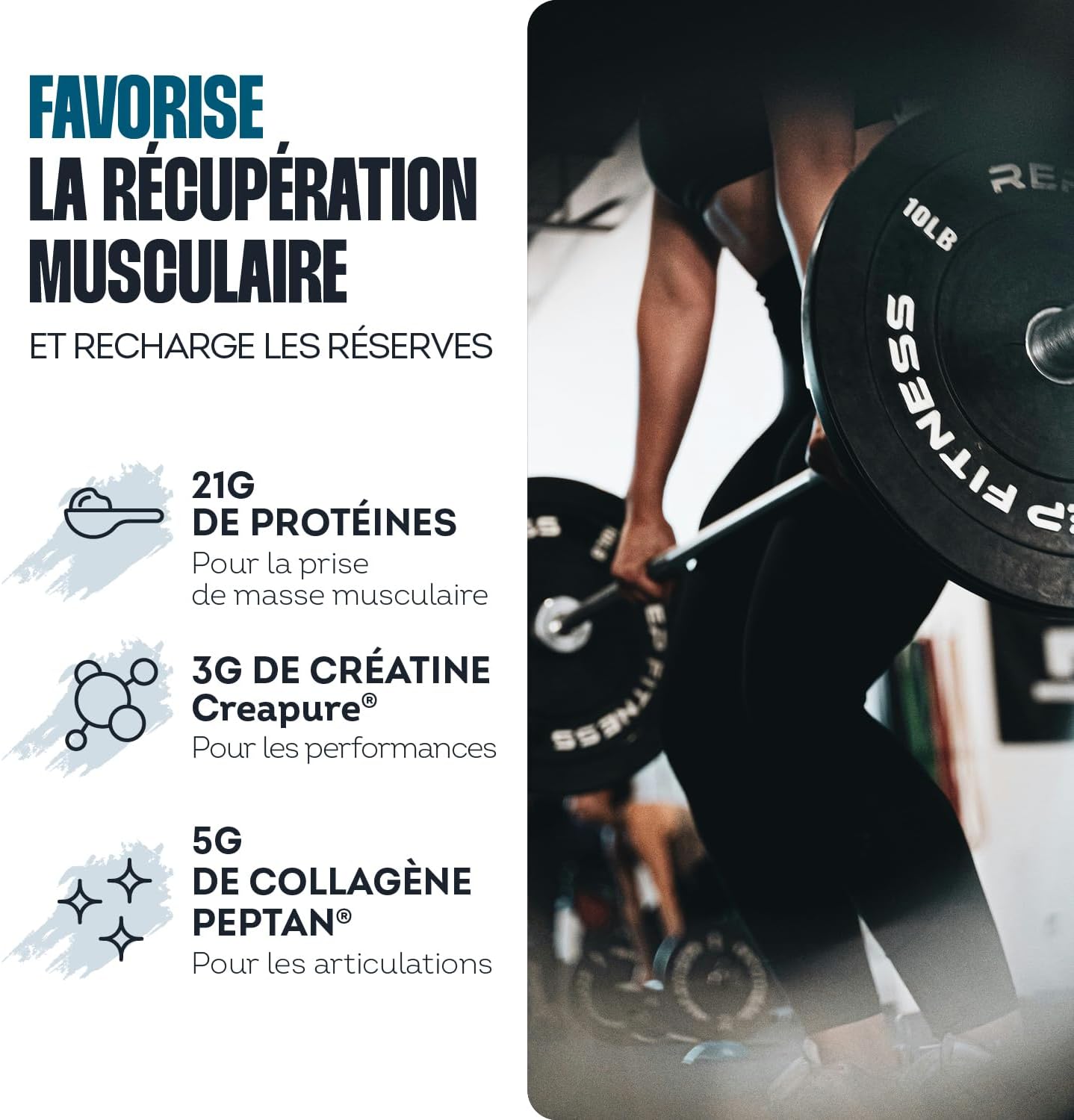 Whey Recovery Chocolat - Complément Alimentaire tout-en-1 pour la Musculation, Récupération & les Articulations - 21g Protéine, 3g Créatine Creapure®, 5g Collagène Peptan® - 525g