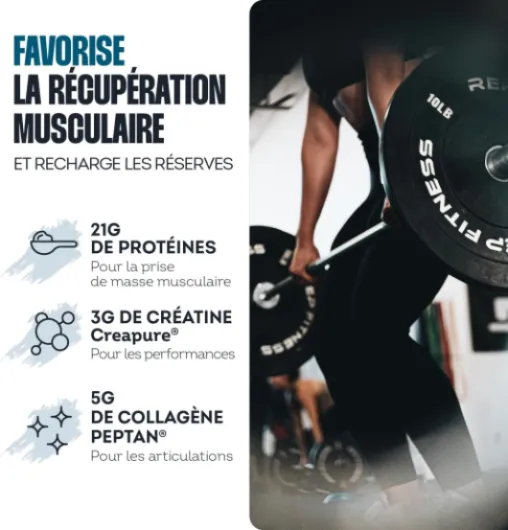 Whey Recovery Chocolat - Complément Alimentaire tout-en-1 pour la Musculation, Récupération & les Articulations - 21g Protéine, 3g Créatine Creapure®, 5g Collagène Peptan® - 525g
