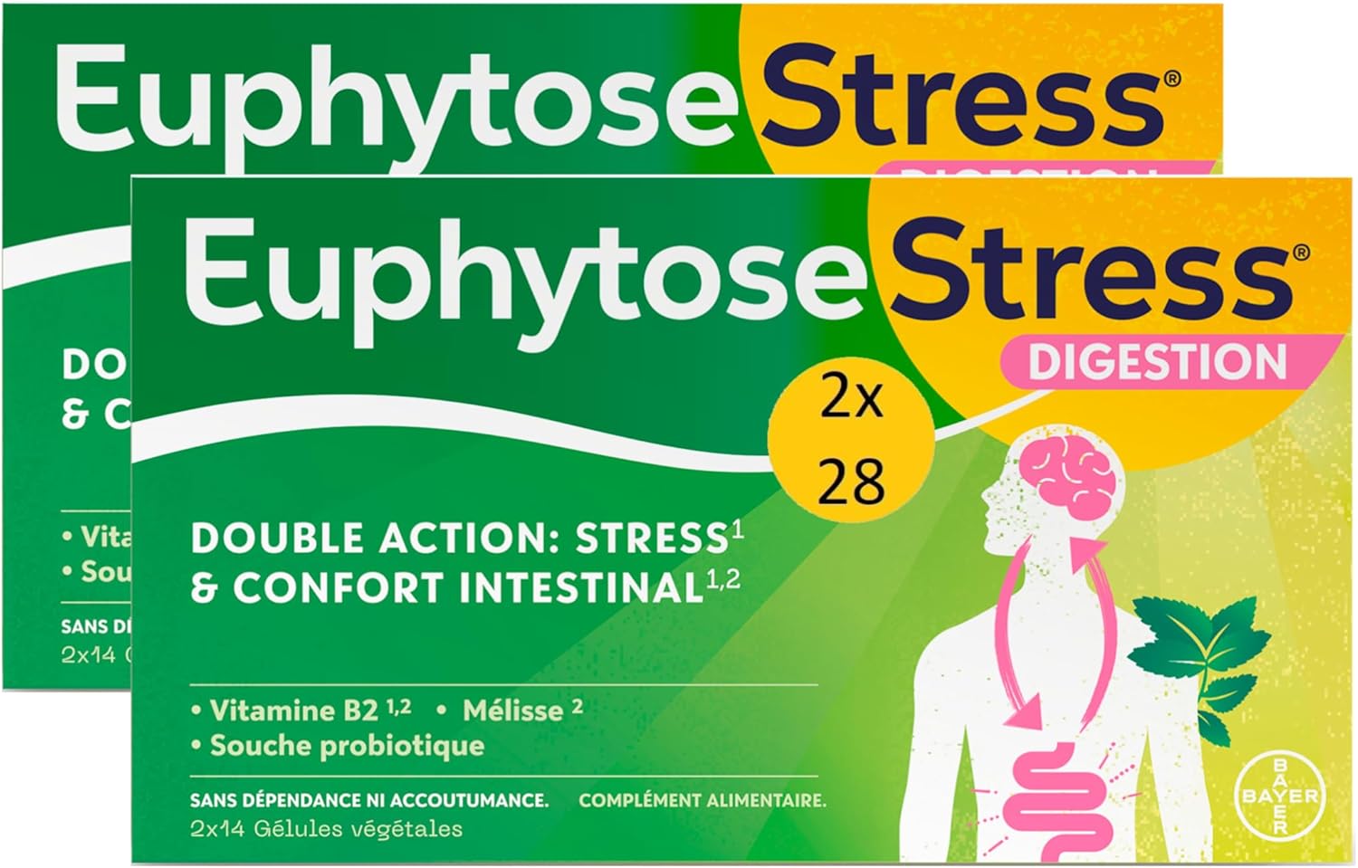 EuphytoseConfort Intestinal Géllules à Avaler, Désagréments du ventre, ballonnements, inconforts intestinaux, transit perturbé, 2 Pack de 28 gélules - 2x14 jours de programme
