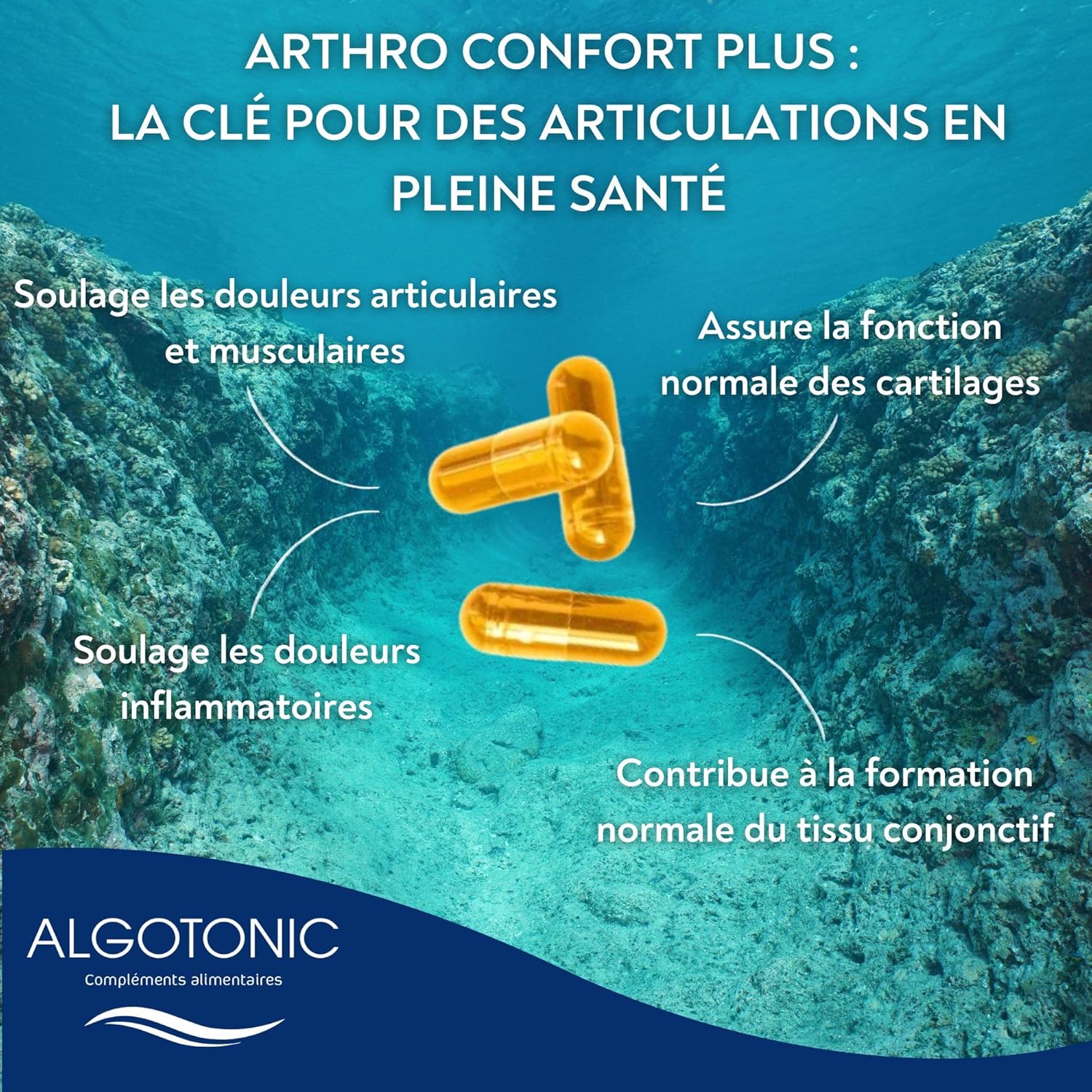 Arthro Confort Plus - Complément Alimentaire Naturel pour Articulations et Cartillages - Gélules - Glucosamine, Chondroïtine, Curcuma, Manganèse, Vitamine C (150 gélules) 60 unité (Lot de 1)