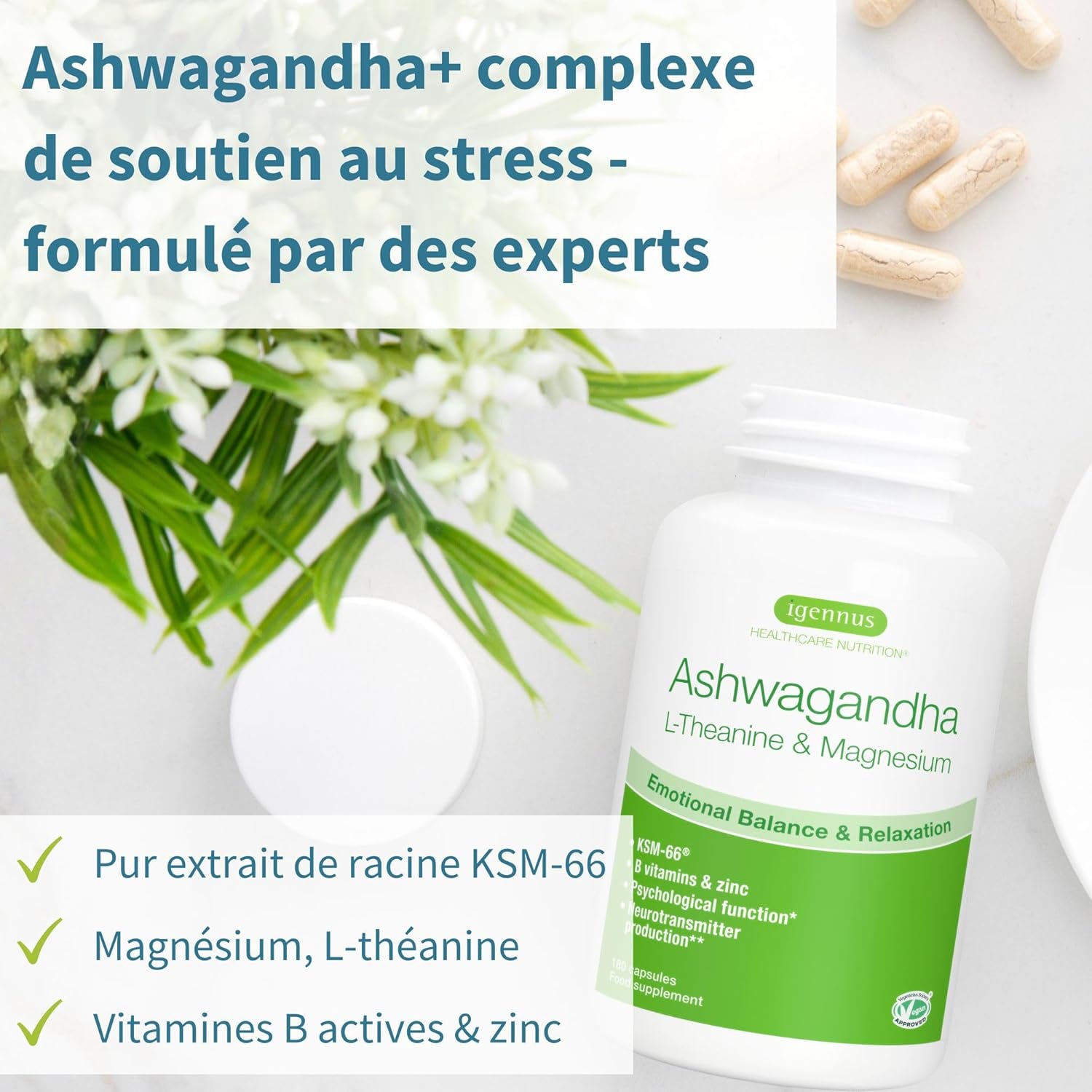 Igennus Ashwagandha KSM-66 Complexe avec L-Théanine & Magnésium Pur Extrait de Racine 600mg, Anti-Stress, Anxiété, Réduction Cortisol et Fatigue – 180 Capsules Végan à Action Rapide, 90 jours 180 unité (Lot de 1)