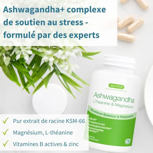 Igennus Ashwagandha KSM-66 Complexe avec L-Théanine & Magnésium Pur Extrait de Racine 600mg, Anti-Stress, Anxiété, Réduction Cortisol et Fatigue – 180 Capsules Végan à Action Rapide, 90 jours 180 unité (Lot de 1)