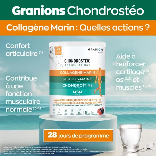 CHONDROSTEO - Collagene Marin + Magnesium + Vitamine D + Calcium - Articulations Douloureuses - Collagen Hydrolysé + MSM + Glucosamine Chondroïtine - Vitamine D3- Lot de 2 - Pot 280g x2 Chondrostéo + Collagène Lot de 2