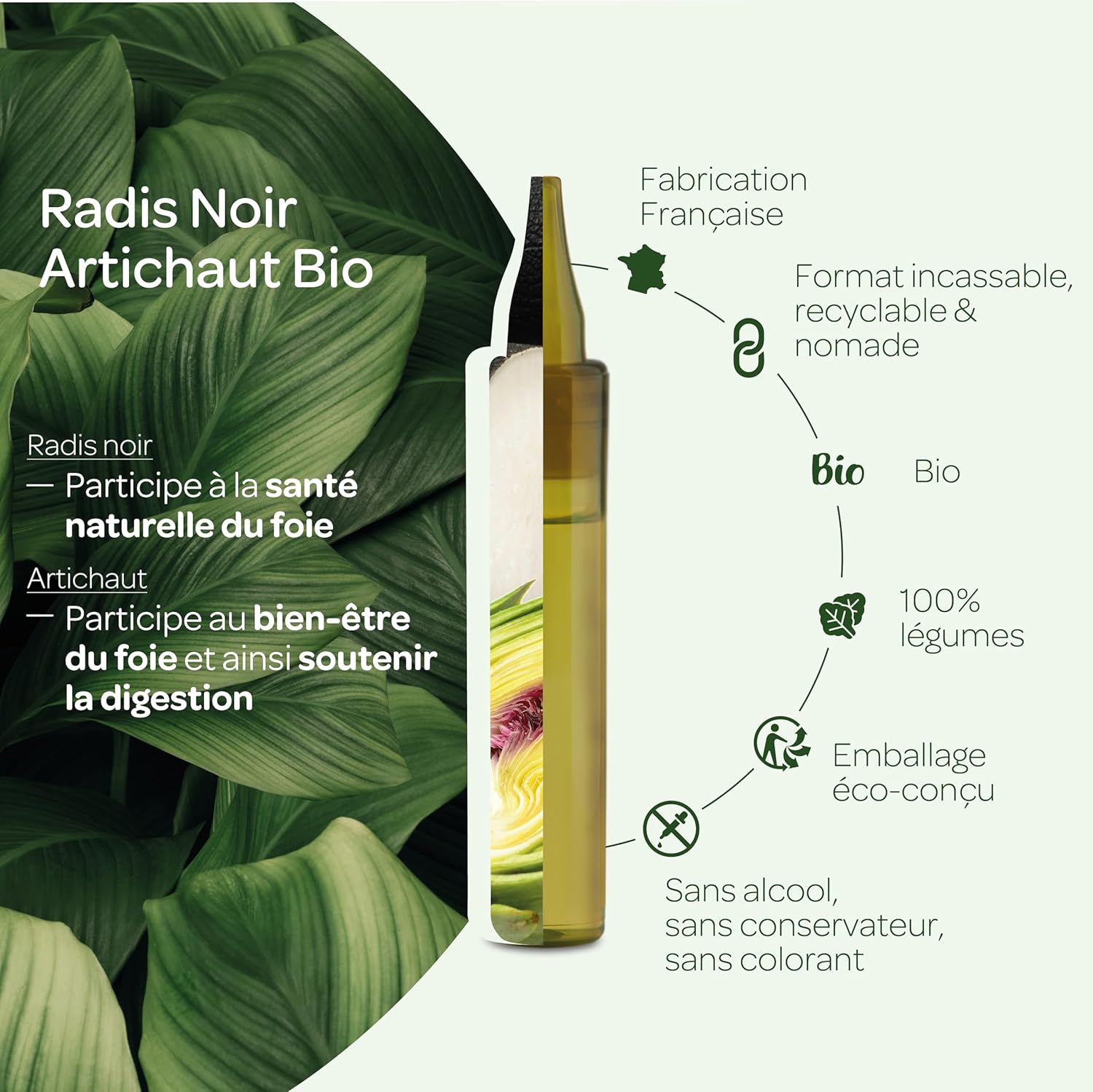 RADIS NOIR, ARTICHAUT BIO - Digestion facile & Transit naturel - Format nomade - 20 Unidoses de 15 ml (Lot de 2) 1 unité (Lot de 2)