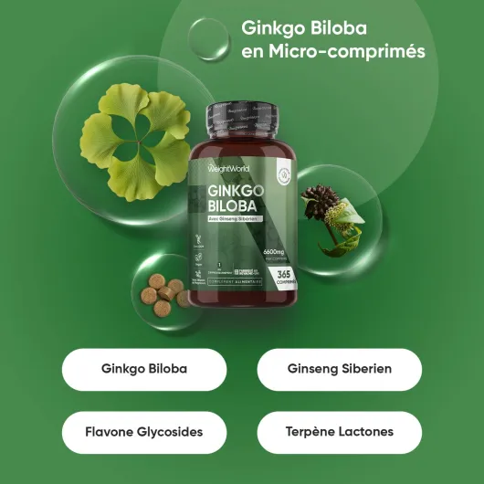 Ginkgo Biloba 6600mg avec Ginseng Sibérien, 365 Micro-Comprimés pour 1 An, Extrait de Ginko Biloba en Comprimés Vegan avec Flavones Glycosides & Terpènes Lactones, Sans Acide Ginkgolique et Sans OGM