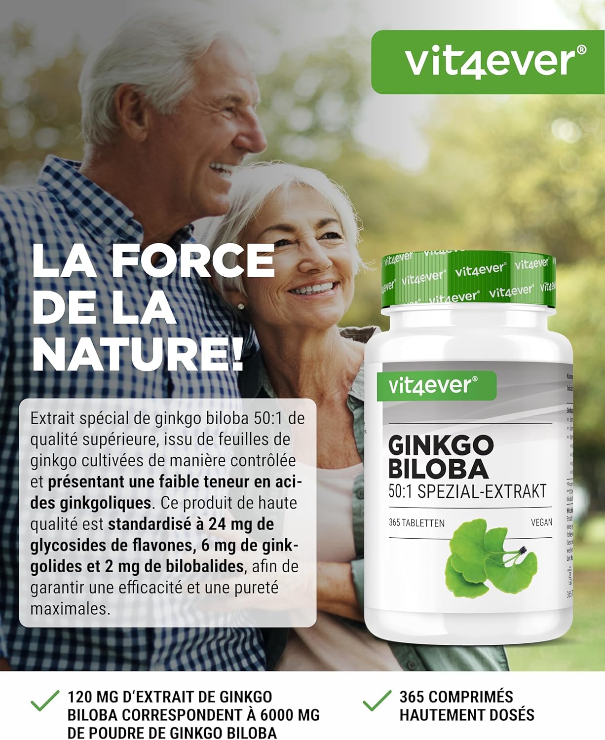 Ginkgo Biloba 6000 mg - 365 Comprimés – Extrait Premium : avec Flavonoglycosides + Ginkgolides-Lactones Terpéniques & sans Acide Ginkgolique - Hautement Dosé – Vegan