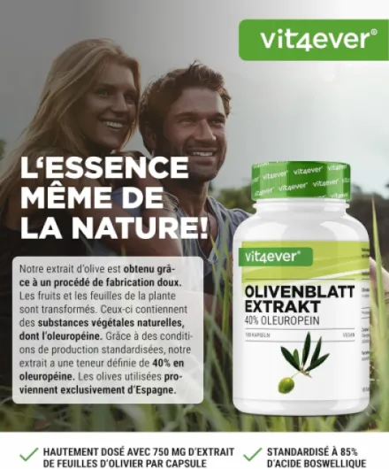 Extrait de Feuilles d'Olivier - 180 capsules de 750 mg chacune - Extrait de Feuilles d'Olivier avec 40% d'Oleuropéine = 300 mg - Fortement Dosé - Vegan