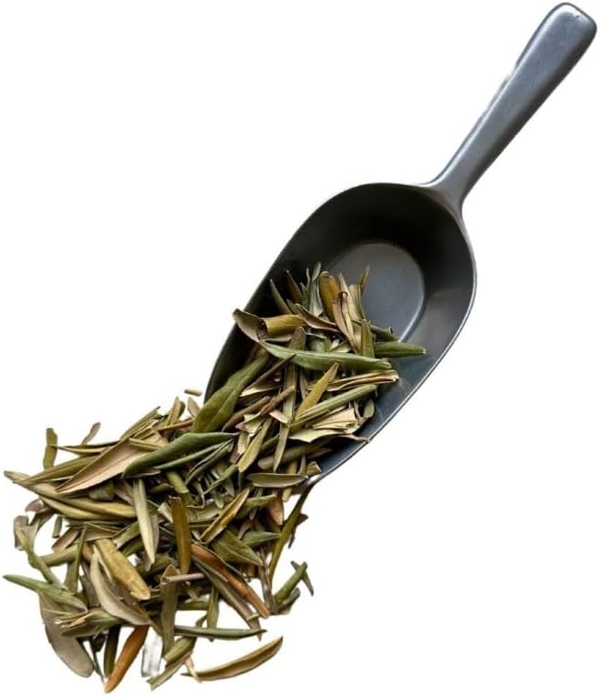 Tisane Olivier feuille 1 KILO Olea europea.