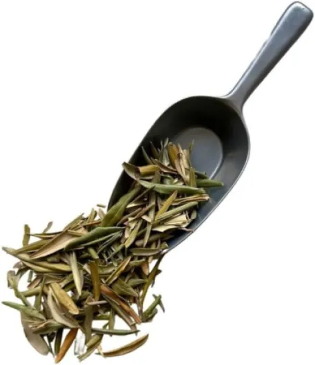 Tisane Olivier feuille 1 KILO Olea europea.