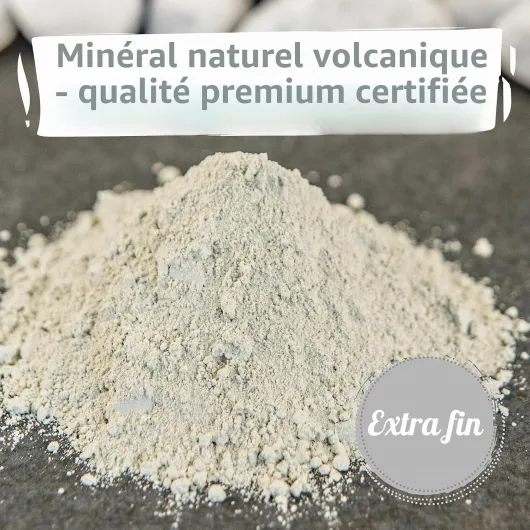NaturaForte Zéolite en poudre 500g - Clinoptilolite 92%, Terre extra fine, Qualité Premium, sans additifs, Roche volcanique pure et naturelle, pour animaux 500 g (Lot de 1)