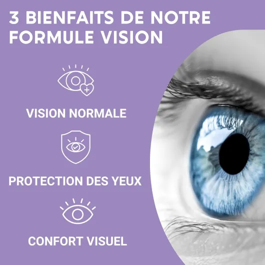 FORMULE VISION - Complément alimentaire pour les yeux - Myrtille, Safran, Lutéine, Zinc et Vitamines - Maintien d'une vision normale, yeux secs et fatigués - 60 Gélules - Fabriqué en France