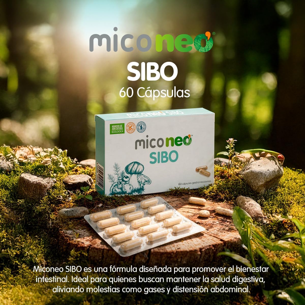NEO MICO NEO SIBO 60cap - – complément alimentaire sous forme de gélules, boîte de 60 gélules, à prendre régulièrement selon la dose conseillée et facilite la prise en charge de votre bien-être au quot