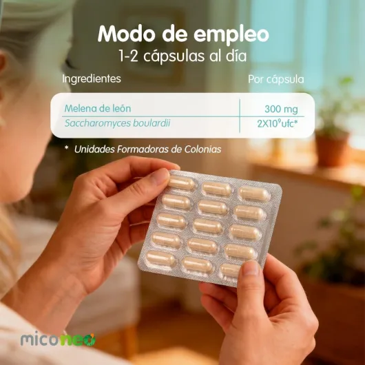 61fTyFMDjvL._AC_SL1200_