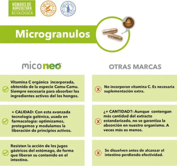 NEO CHAGA NEO 60cap - – contribue au fonctionnement normal de l’organisme au quotidien, complément alimentaire sous forme de gélules, boîte de 60 gélules et est conçu pour offrir un grand confort d’uti