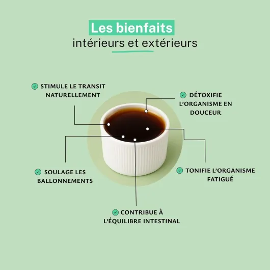 Elixir du suédois Maria Treben 500ml - Recette originale de Maria Treben - Fabrication Française (Lot de 2) 500 ml (Lot de 2)