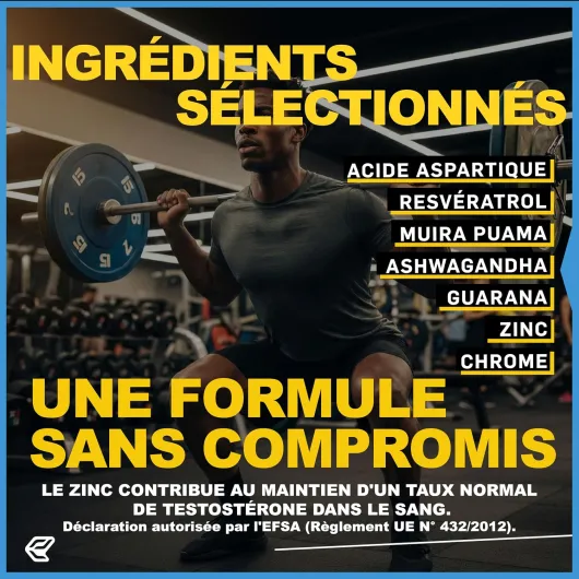 81PDQ1AZJwL._AC_SL1500_