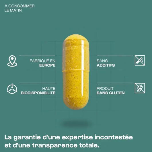 71TUpquee1L._AC_SL1500_